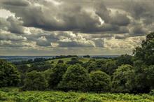 How will the Northern Forest be delivered and who will gain?
