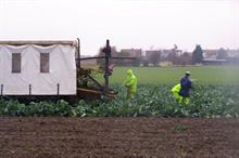 Leaked document proposes restrictions on low-skilled EU workers