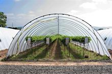 Wellcome Trust buys the Co-operative Group's farm business for £249m