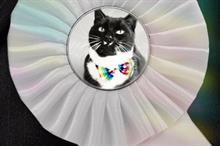 Digital Campaign of the Week: Battersea Cats and Dogs Home