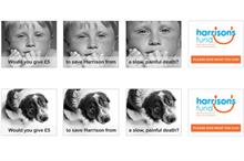 Harrison's Fund launches 'I wish my son was a dog' campaign