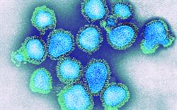 Flu antivirals approved for NHS prescribing as cases increase