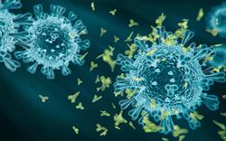Close-up image of a COVID-19 antibody