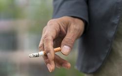 Help cancer patients live longer by offering smoking cessation support, GPs urged