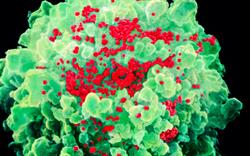 MHRA advises caution when co-prescribing steroids and HIV-treatment boosters