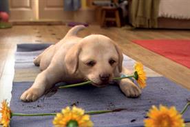 Andrex generated £374 of sales in 2010