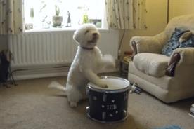 Direct Line: latest Pet Step viral ad fails to impress
