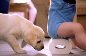 Andrex