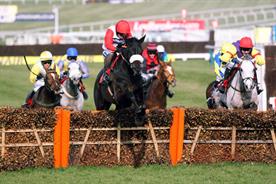 Channel 4: exclusive television coverage of horseracing in 2013