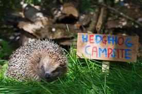 RSPB: challenges misconceptions with debut TV ad