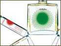 Aveda: ethical approach
