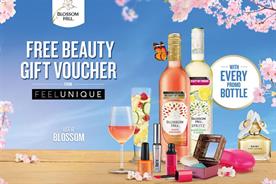 Blossom Hill owner Treasury Wine Estates appoints new top European marketer