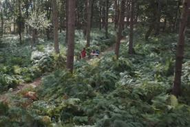 Center Parcs: Y&R London handles creative duties