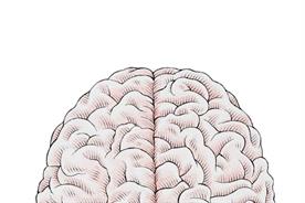 THE TALENT REPORT: Left brain or right brain: what kind of marketer are you?