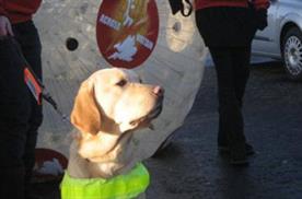 Guide Dogs for the Blind
