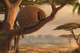 Saatchi & Saatchi New Directors' Showcase 2014