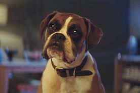 Gondry directs John Lewis Christmas ad