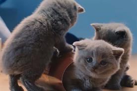 McVitie's owner plans purpose-driven marketing in next chapter for brand