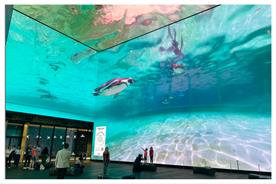 London Zoo showcases penguin enclosure on Outernet London