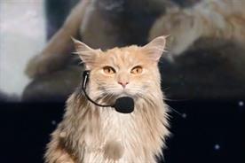 O2: cat stars as motivational speaker latest ad campaign instalment