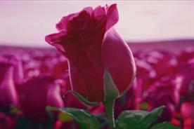 Valentine's rose: Durex ad literally cuts the clichés