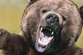 Tuborg: never say no to the bear