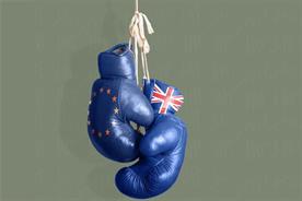The referendum campaign has lead to some hot headed disputes