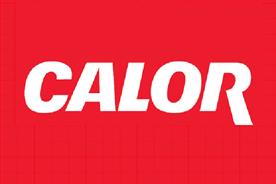 Calor Gas: appoints DLKW Lowe to its advertising account 
