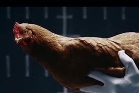 Mercedes-Benz: bobbing chickens