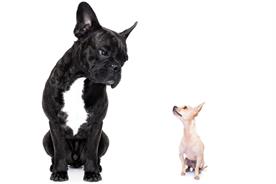 The myth of immediate meritocracy is compelling