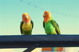 Just Eat: two literal lovebirds discuss their love for food