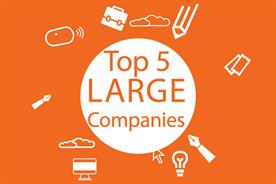 Best Places to Work 2018: top 5 large companies