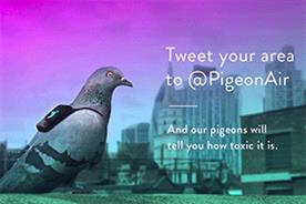 Pigeons in backpacks tweet pollution levels 