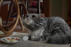 Sainsbury's moves £60m ad account to Wieden & Kennedy