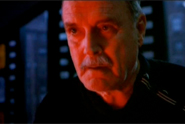 Orange 'john cleese gold spot' by Mother London