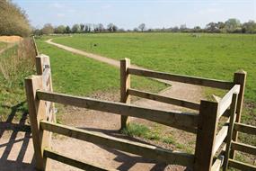 How a European court ruling that stiffens wildlife safeguards could delay plan-making