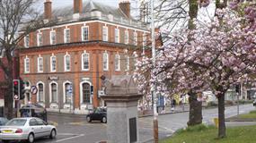 Elmbridge Council appoints senior planner