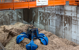 Germany hopes for better response with second biomass auction