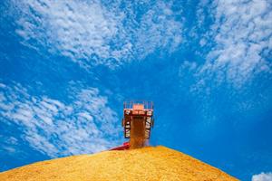 Drax backs biomass as it ditches controversial gas conversion
