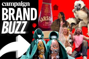 Frijj, Sarson's, Sisters and Seekers, Hobbycraft and Ashlyns Wildlife Park 