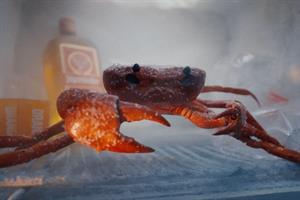 crab in the freezer