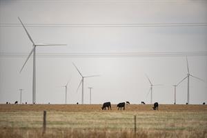 The DOD has refused to make decisions on wind farm permitting applications since August 2025 (pic credit: Al Drago/Getty Images)