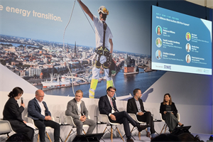 The panel discussed how to improve offshore wind auctions