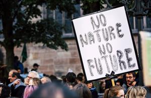 Advertisers sign open letter calling out tech platforms for climate misinformation