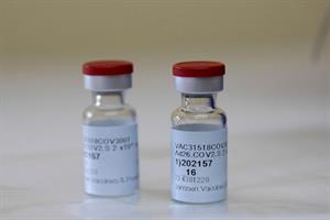 Coronavirus Briefing: Knowledge, roadblocks and pain