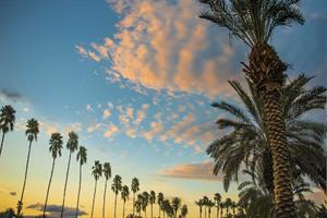 Palm Springs selects agency to push California destination