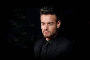 Liam Payne (Credit: Mike Marsland/Getty Images)