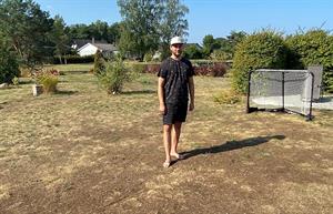Why a Swedish island is celebrating one resident’s ‘really lousy lawn’