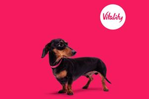 Vitality hires agency for consumer PR
