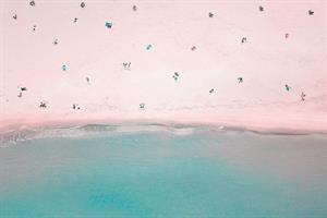 Coronavirus Briefing: Schools plan for the fall, beachgoer shaming, and a patient-confidence rebound